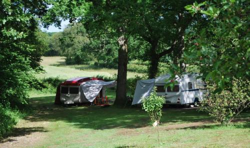 vintage caravans on site